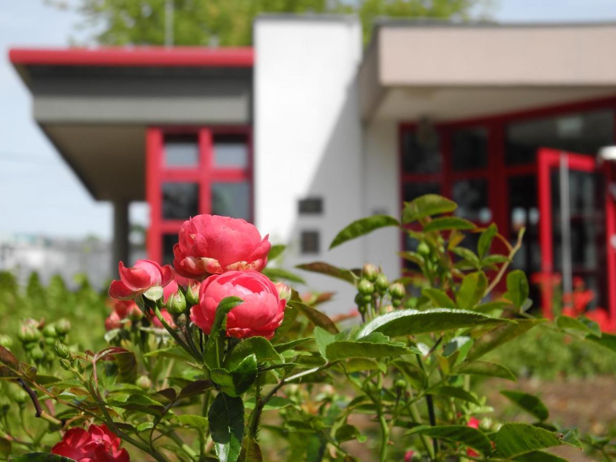 Rosen-Hotel Sangerhausen Exteriör bild