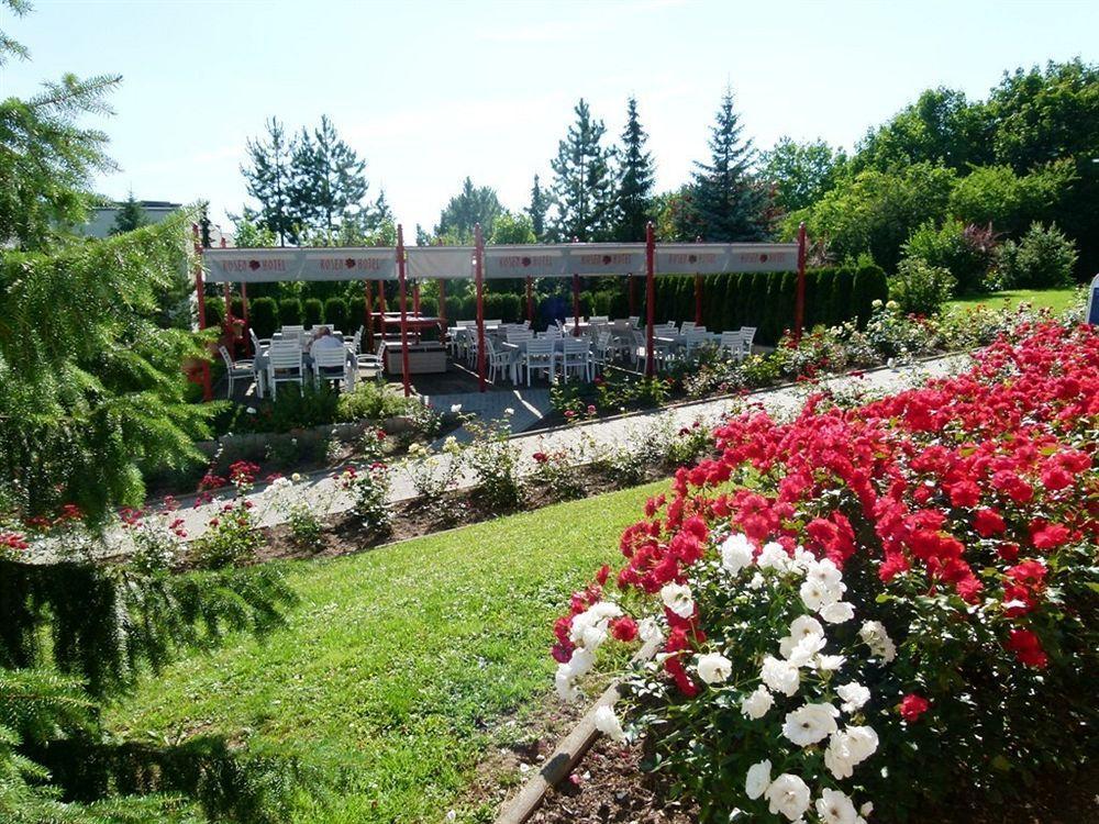 Rosen-Hotel Sangerhausen Exteriör bild